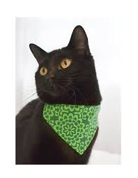 Edition Limitee Bandana Pour Chat Glisse Dans Collier Cats Cat Collars Cat Accessories