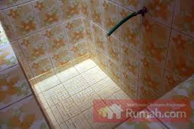 Beberapa cara menghilangkan kutu rambut dan pencegahannya telah dijelaskan di atas. Info 47 Keramik Kamar Mandi Bocor