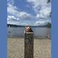 October half term at Windermere Jetty Museum event image