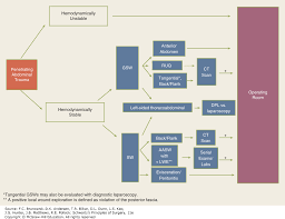 trauma schwartzs principles of surgery 11e