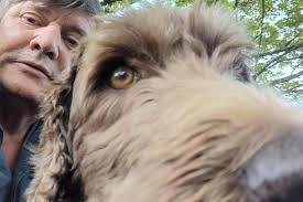 Holyrood Inside Politics