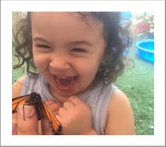 Summit-Questa Montessori School