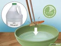 4 Easy Ways to Preserve Insects in Resin - wikiHow