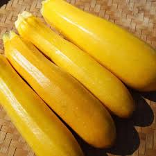 Courgettes Rheinau Gold Fruits Saveur Cuire