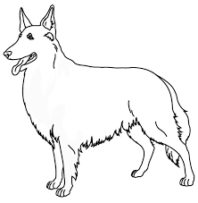 10 Elegant De Coloriage Chien A Imprimer Galerie Chien Coloriage Dessin De Chien Chien