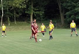 Od roku 2008 strávil necelých sedm let v lidových novinách jako reportér, editor a šéfeditor sportu. Hc Sparta Praha Fotogalerie