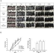 Maybe you would like to learn more about one of these? Effects Of A Gintonin Enriched Fraction On Hair Growth An In Vitro And In Vivo Study Sciencedirect