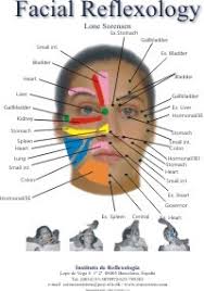 Cogent Reflexology Of The Face Chart Reflexology