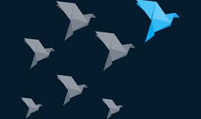 The pro collection combines sleek, modern styling with exceptional performance. Design Thinking Insights Mckinsey Company