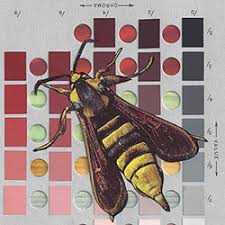 Soil Color Chart Collages An Interview With Chad Yenney