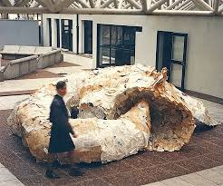 Bildergebnis für Liliana Maresca