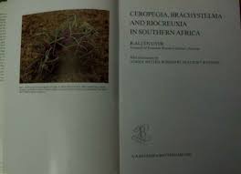 Image result for Riocreuxia