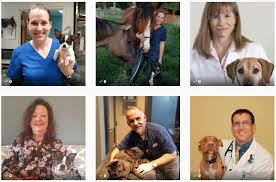 Through this training, they provide exceptional services for pet owners throughout the regional area. Meet Our My Vet S The Best Contest Pets Best Pet Health Insurance Facebook