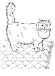 Cats 17 Cats Coloring Pages For Teens And Adults Cat Coloring Book Cat Coloring Page Coloring Pages