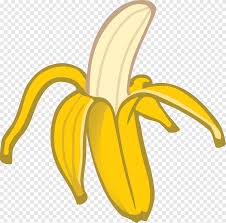 Check spelling or type a new query. T Shirt Banana Drawing Peel Joke Banana Food Flower Png Pngegg
