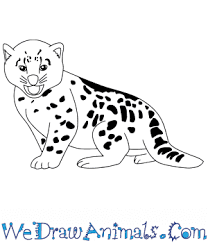 Click here to save the tutorial to pinterest! How To Draw A Baby Snow Leopard