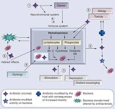 Image result for Antimicrobial Agent