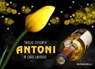 Wysyłaj znajomym życzenia imieninowe już teraz! Kartki Elektroniczne E Kartka Dla Antoniego Kartkolandia Pl