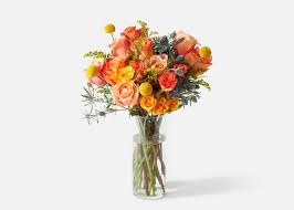Sendflowers.com has been visited by 10k+ users in the past month Urban Stems The Firecracker