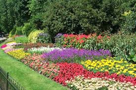 Low Cost Flower Gardens Small Flower Gardens Flower Garden Design Garden Design Images