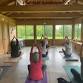 Autumn Yoga Series event image