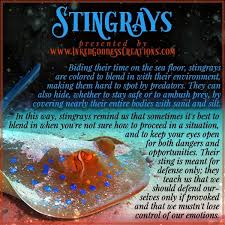 Stingrays The Maori People Tell The Story Of Whaitere A Young Stingray That Witnessed Th Spirit Animal Meaning Spirit Animal Totem Animal Spirit Guides