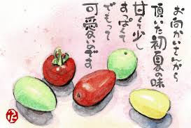 絵 手紙 トマト