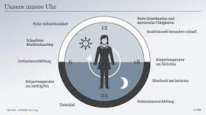 Als innere uhr ist die fähigkeit eines lebewesens gemeint, die aktuelle tageszeit ungefähr die innere uhr gehört zum biologischen rhythmus eines lebewesens und wird über eine bestimmte. Zeitumstellung So Funktioniert Unsere Innere Uhr Wissen Umwelt Dw 28 03 2020