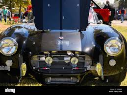 Image result for Live Oak 1965 AC Cars