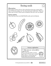 Science is an area of study which involves anything and everything in the entire universe. Kindergarten Science Worksheets Word Lists And Activities Greatschools