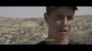 Meg's picks for Peterborough's 2024 ReFrame Film Festival