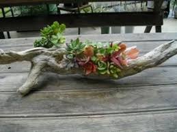 めちゃくちゃおしゃれ 流木 多肉植物のアレンジがかっこいい naver まとめ garden containers floral art planting succulents