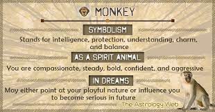 Monkey Meaning And Symbolism The Astrology Web