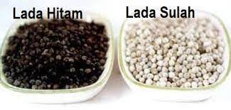 Sekarang saya akan bercerita tentang apa yang berlaku secara batinnya. Anim Agro Technology Lada Sulah Apa Dia