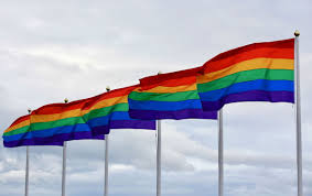 Two charged in July 2022 thefts and burning of pride flag in Santa Ynez