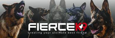 We did not find results for: Fierce K9 Personal Protection Dog Sales Training