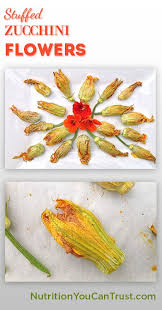 We did not find results for: Stuffed Zucchini Flowers Nutrition You Can Trust Zucchini Flowers How To Eat Paleo Flower Food