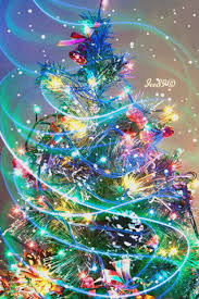 Pin Su Christmas