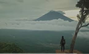 Pagesmediatv & moviestv showبرنامج قلبي اطمأن. Egkzsy Yz0pqmm