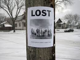 As nick kroll's animated series about adolescence. Lost Lost Sign Lost Tv Show Funny Street Signs Lost Poster