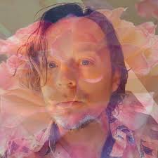Darren Hayes