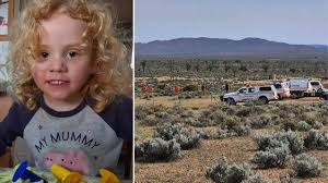 Gus Lamont case: What we know so far | SBS News