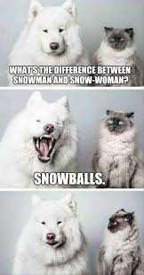 What S The Difference Funny Animal Jokes Funny Dog Memes Funny Animal Memes