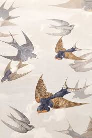 Swallows In Flight Some Monochrome Others Rendered In Rose Washed Watercolours Feature On Thi Bird Wallpaper Bedroom Bird Wallpaper Designers Guild Wallpaper