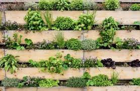Denn einen pool gibt's in vielen preisklassen. Urban Gardening Ç Toom Baumarkt