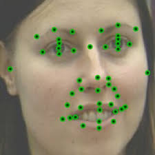 Sammon mapping of the filtered annotation responses. Each point...