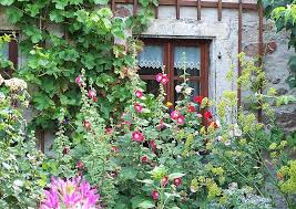 Einladend bunt, aber nicht aufdringlich, romantisch wild, aber nicht ungeordnet soll ihr garten sein? Einen Cottage Garten Gestalten Typisches Und Bepflanzungen