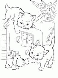 Tellen van katten en honden kleurplaat boek stockvectorkunst en meer. Kleurprenten Poes Topkleurplaat Nl