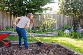 (do i have to remove every single rock?). Easiest Way To Remove Rocks From The Garden Lovetoknow