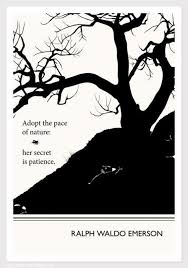 Ralph Waldo Emerson Nature Print Wall Art Transcendentalist Etsy Emerson Quotes Ralph Waldo Emerson Quotes Literary Posters